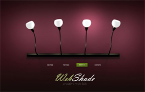 LED白炽灯flash创意模板